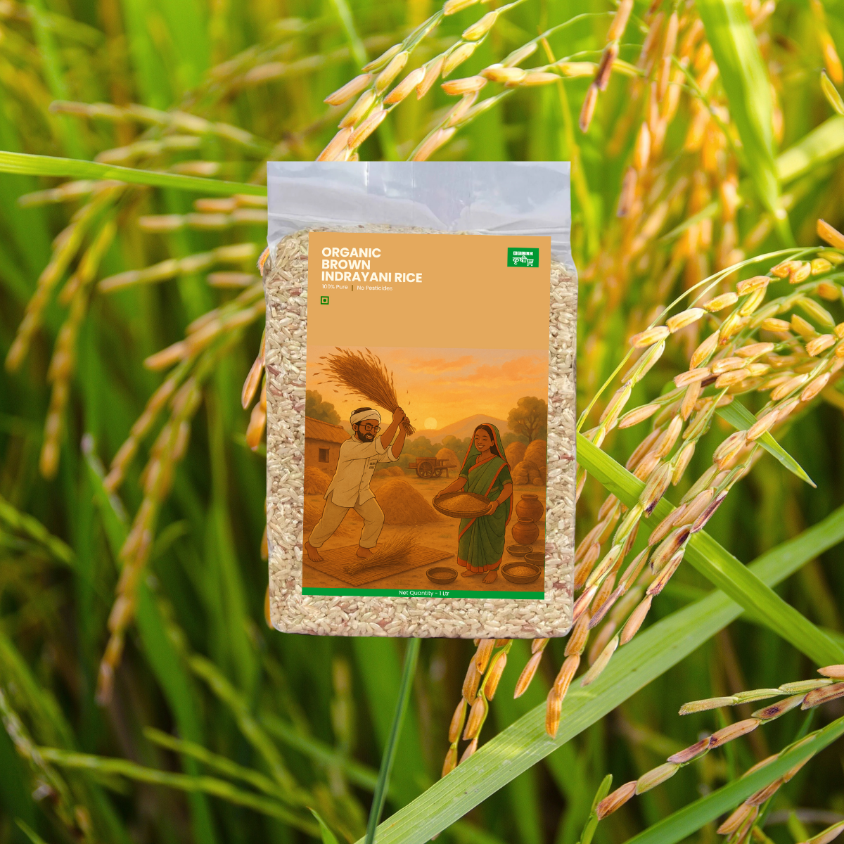 Indrayani Brown Rice – Whole Grain, Nutrient-Rich & Naturally Aromatic