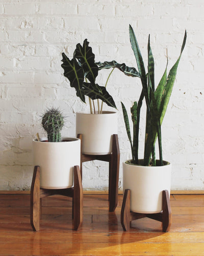 Pots & Planters